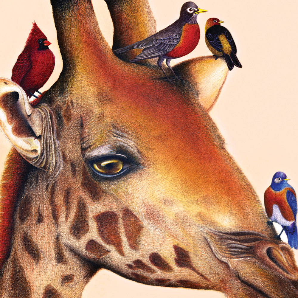 The Giraffe & Friends (Matted) Art Print 5x7