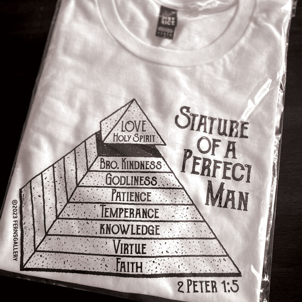 Stature Of A Perfect Man Shirt (Black & White)