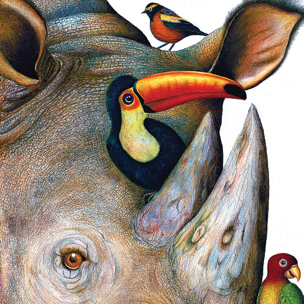 The Rhino & Friends (Matted) Art Print 5x7