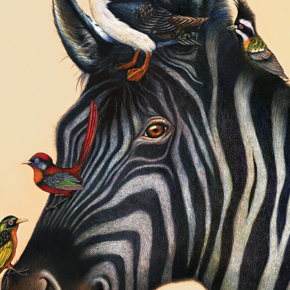 The Zebra & Friends (Matted) Art Print 5x7
