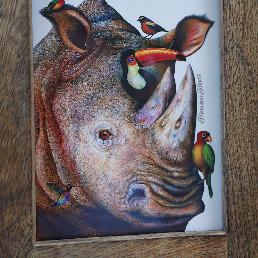 Friendly Rhino Art 4"x 6"